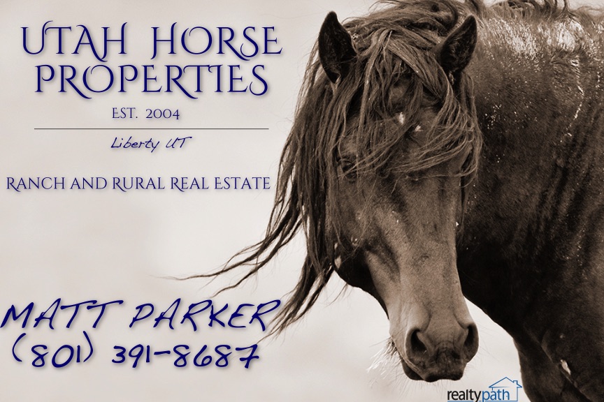 Horse Head Tile
