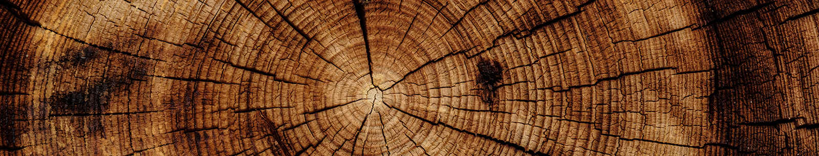 stump-background